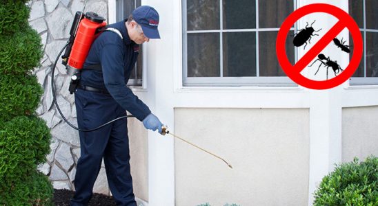 Alaybey Böcek İlaçlama böcek ilaçlama ve haşere kontrolü — ilaclama-tr.com